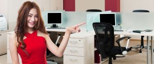 Desk screens for small offices or a home office