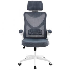 Yaheetech Computer Desk Chair Home Office Chair Ergonomic Swivel Chair with Arms and Height Adjustable Back Support for Home Study or Manager Work WhiteGrey 0